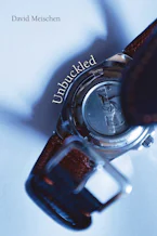 Cover of 'Unbuckled' by David Meischen 